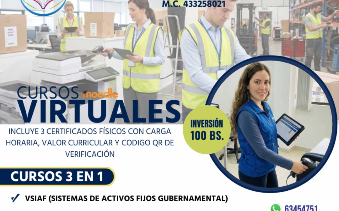 CURSOS 3×1 ACTIVOS FIJOS VSIAF
